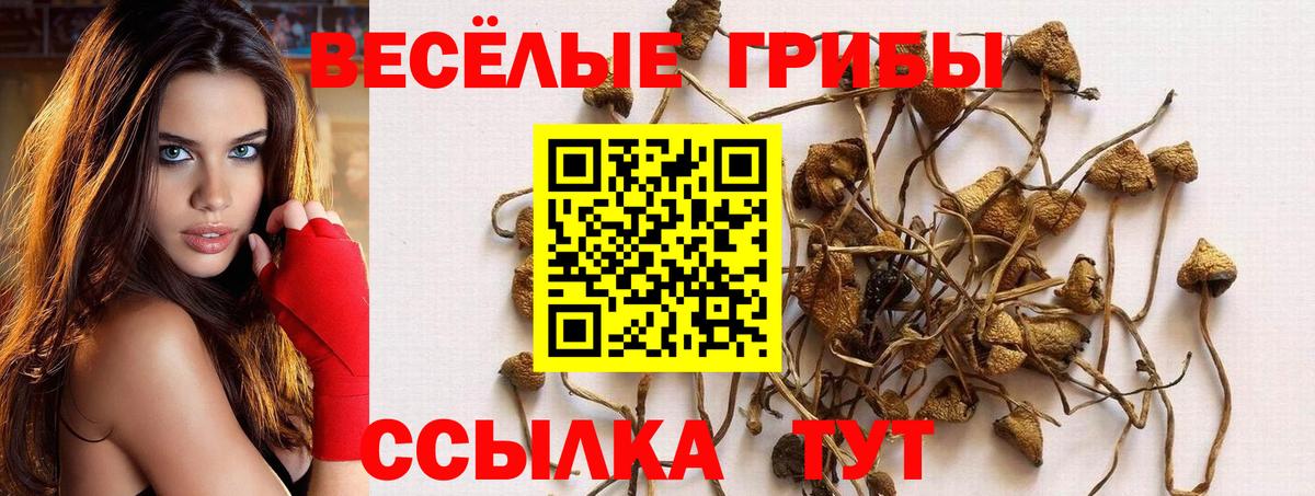 Скопин  Псилоцибиновые грибы прущие грибы  Галлюциногенные грибы Psilocybe  Вход с VPN 